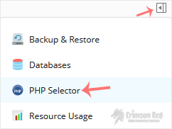 Plesk-CL-PHP-Selector-menu.gif