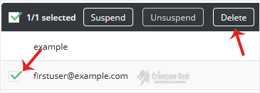 da-ftpuser-delete.gif